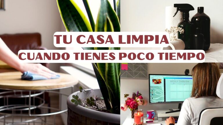 Consejos Efectivos para un Hogar Limpio y Bien Cuidado