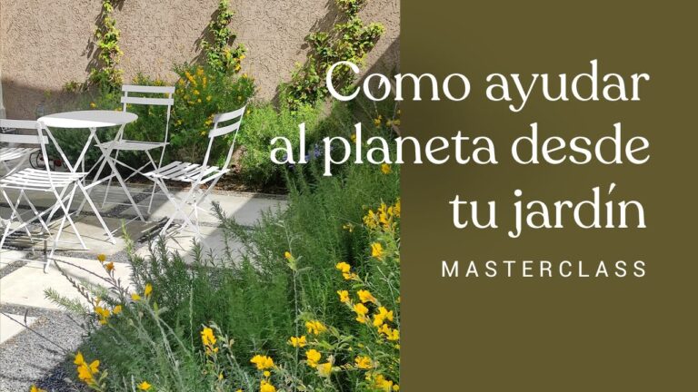 Jardiner&iacute;a Sostenible en el Hogar: Claves para un Espacio Verde Responsable