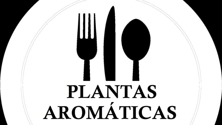 Plantas Aromáticas: El Toque Perfecto en la Decoración de la Cocina