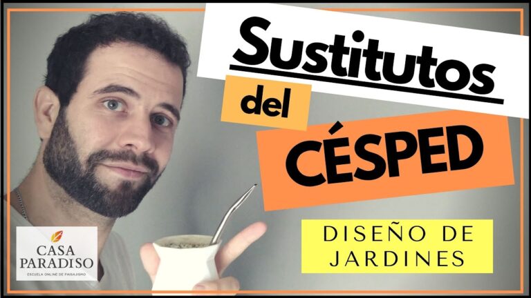 Pr&aacute;cticas Ecol&oacute;gicas para el Mantenimiento del Jard&iacute;n en Casa