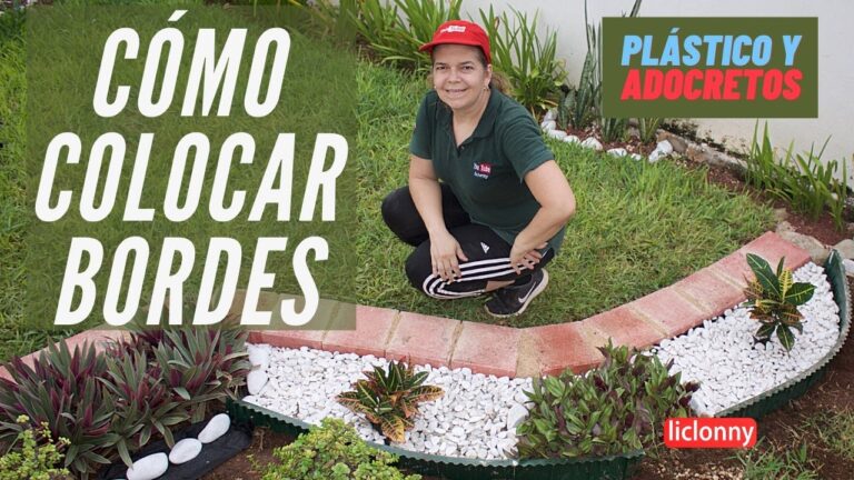 Tipos de Plantas para Delimitar Caminos de Jardín