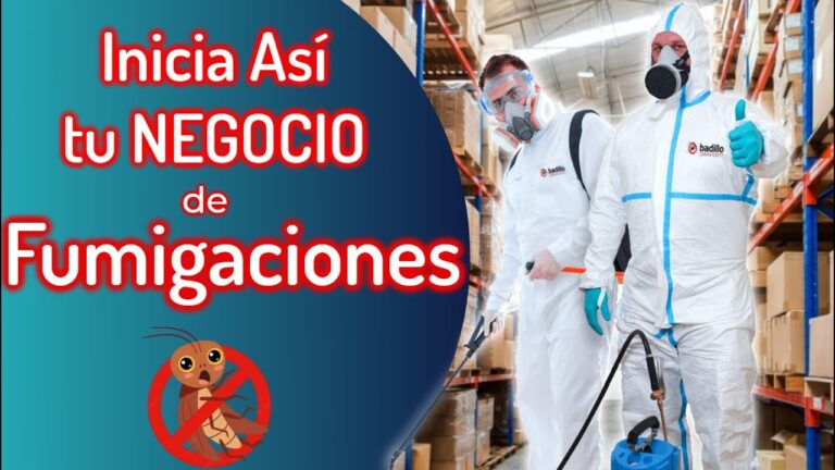 Servicios de Control de Plagas para el Mantenimiento Eficaz del Hogar