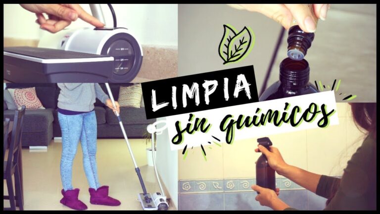 Minimalismo Ecol&oacute;gico: Estilo y Sostenibilidad en el Hogar