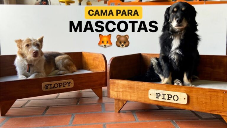 Innovadores Dise&ntilde;os de Camas Elevadas para Mascotas