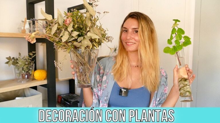 Decoraci&oacute;n con Plantas Artificiales en Hogares de Alquiler