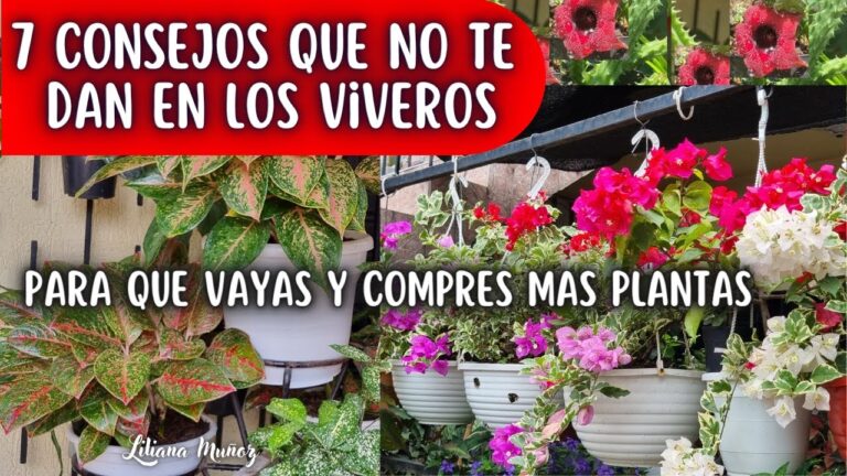 Arte y Jardiner&iacute;a: Creando Espacios Inspiradores en el Hogar