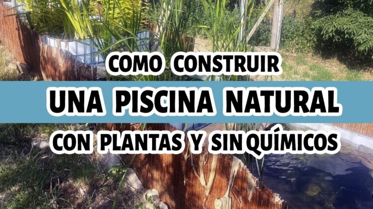 Transforma tu Jard&iacute;n con Piscinas Naturales: Dise&ntilde;o y Estilo