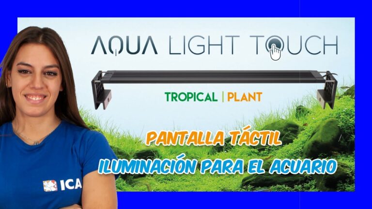 Iluminaci&oacute;n Eficiente: Productos Recomendados para Ahorrar Energ&iacute;a