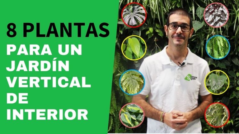 Plantas de Interior Ideales para Jardiner&iacute;a Urbana