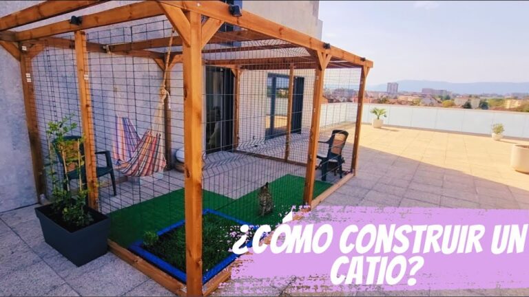 Terrazas Acondicionadas: Un Espacio Ideal para tus Mascotas