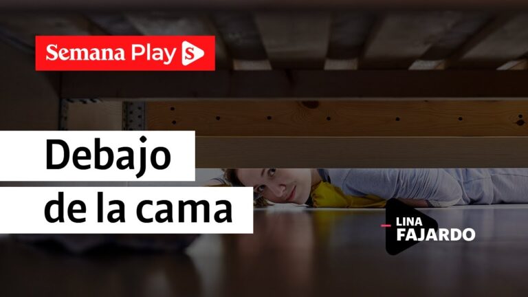 Almacenamiento Bajo Cama: Claves para una Organizaci&oacute;n Eficiente en el Hogar