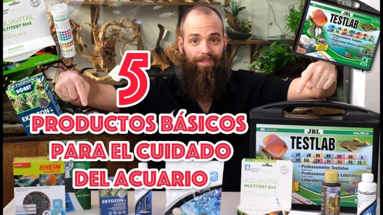 Productos de Seguridad Esenciales para la Tranquilidad en el Hogar