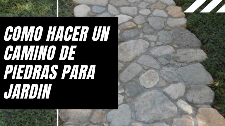 Gu&iacute;a para Crear un Camino de Piedra en el Jard&iacute;n