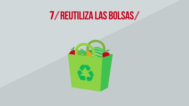 Gu&iacute;a de Productos Sostenibles para un Hogar Saludable