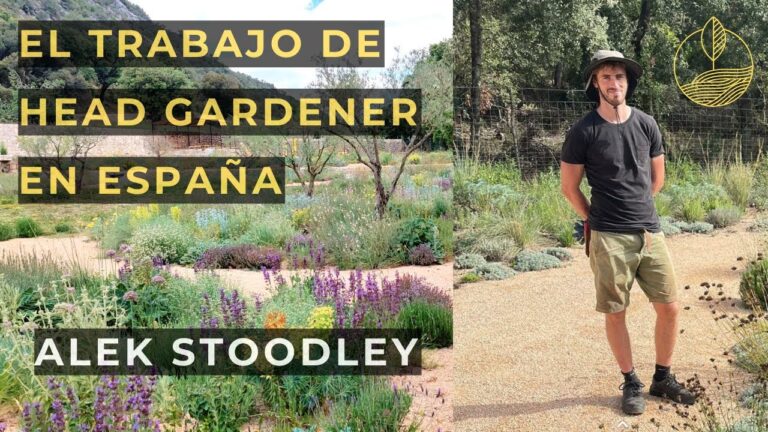 Colores y Texturas Mediterráneas en la Decoración Española