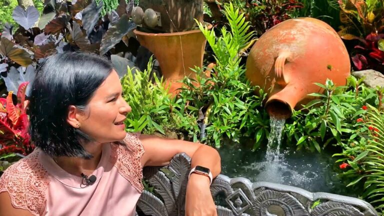 Ideas Creativas para Fuentes de Agua en la Decoraci&oacute;n de Hogar para Mascotas