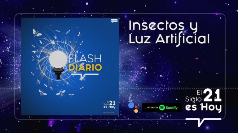 Iluminación Natural y Su Influencia en el Bienestar Diario