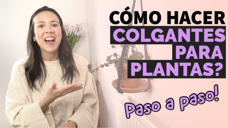 Renueva tu hogar con plantas colgantes frescas