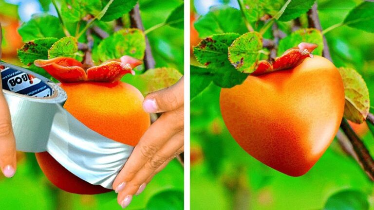 Trucos Efectivos para Mantener la Vegetaci&oacute;n en Casa