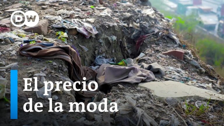 Aislamiento Ecol&oacute;gico: Clave para el Cuidado del Medio Ambiente