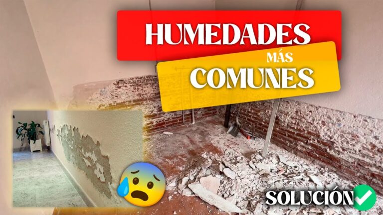 Construcci&oacute;n de un Hogar Saludable y Libre de Humedad