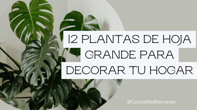 Frescura y Luminosidad: El Estilo Mediterr&aacute;neo en la Decoraci&oacute;n del Hogar