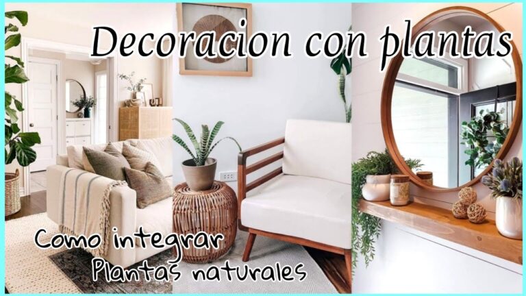 Consejos de Feng Shui para Incorporar Plantas en el Hogar