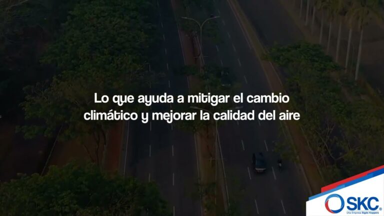 Opciones Eco-Friendly para una Movilidad Sostenible