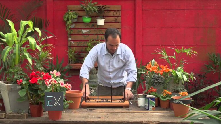 Terrazas Verdes: El Encanto de las Paredes Vivas