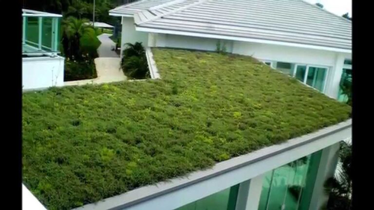 Ideas para un Hogar Sostenible con Techos Verdes