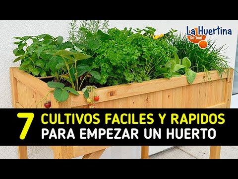 Esenciales para un Jard&iacute;n Urbano