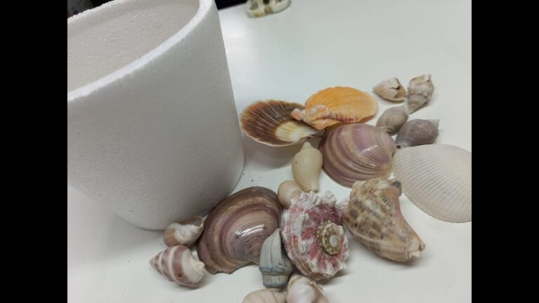 T&eacute;cnicas Innovadoras de Reciclaje en la Decoraci&oacute;n de Espejos