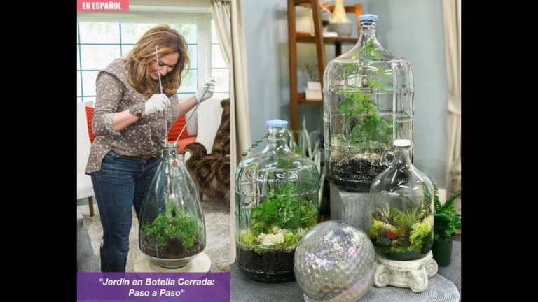 Crea tu Oasis: Jardines Acu&aacute;ticos en Casa
