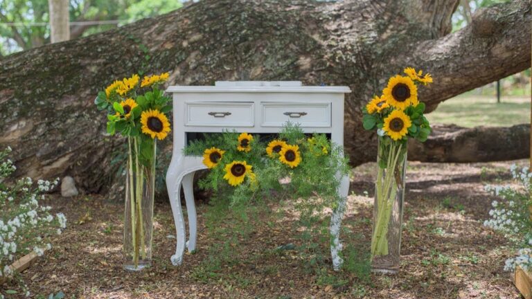 Ideas para Decorar tu Hogar con Estilo Campestre