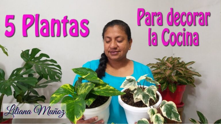 Ideas Creativas de Plantas Decorativas para Cocinas