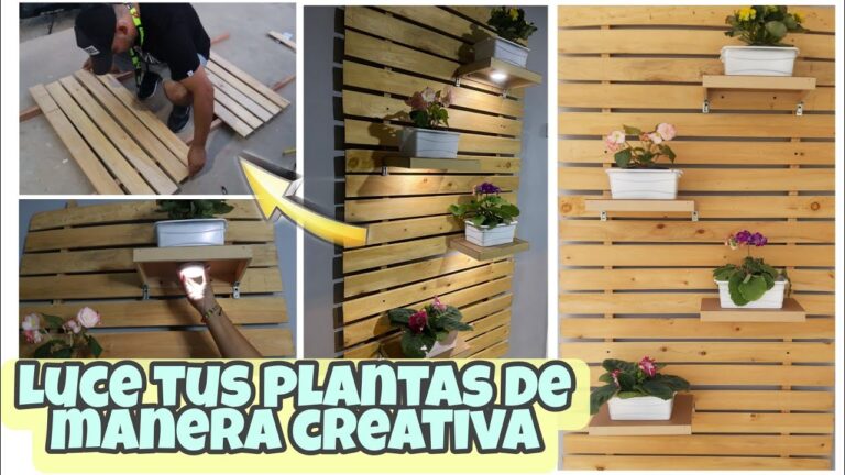 Ideas Creativas para Decorar Jardines Verticales con Plantas