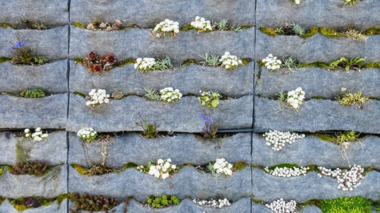 Gu&iacute;a Pr&aacute;ctica para Crear una Pared Vegetal en Casa