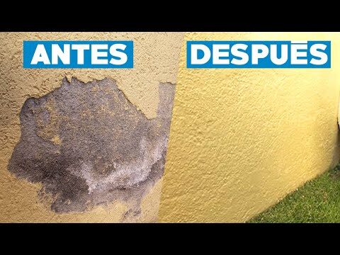 Estrategias Efectivas para la Prevenci&oacute;n de Gotera en el Hogar