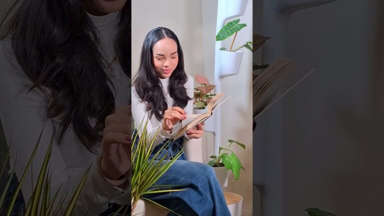 Rincones Vibrantes: La Magia de las Plantas en el Hogar