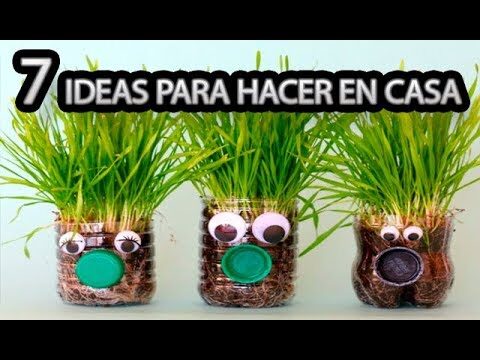 Consejos para Cultivar Plantas en Espacios Reducidos