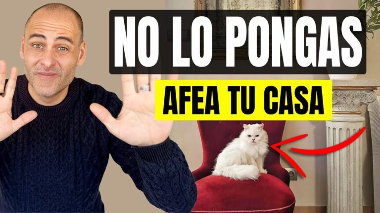 Terrazas Pet-Friendly: Crea un Hogar Agradable para tus Mascotas