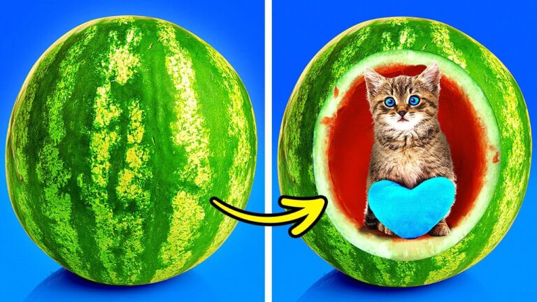 Camas Acogedoras e Innovadoras para Mascotas