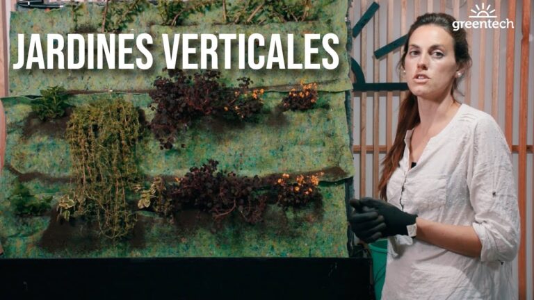Aprovechamiento de Espacios con Techos Verdes en Decoraci&oacute;n Exterior