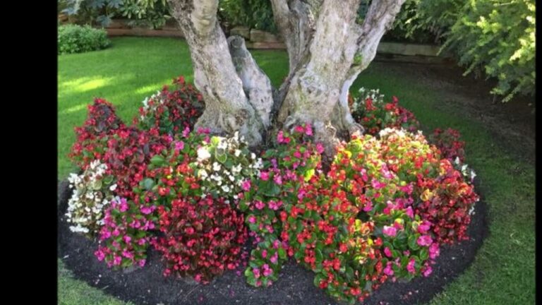 Transforma tu Hogar con Decoraci&oacute;n Paisaj&iacute;stica