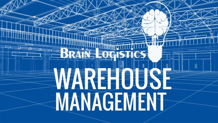 Organizaci&oacute;n Eficiente con Sistemas de Estanter&iacute;as