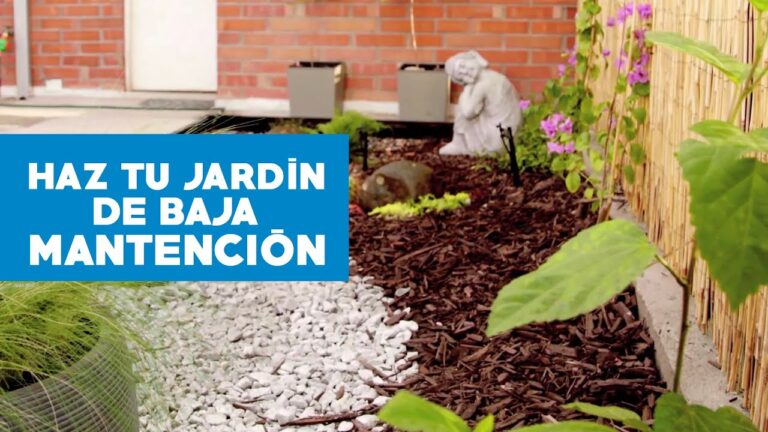 Guía para Crear un Jardín en la Terraza del Hogar