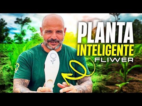 Herramientas Sostenibles para un Jard&iacute;n Ecol&oacute;gico