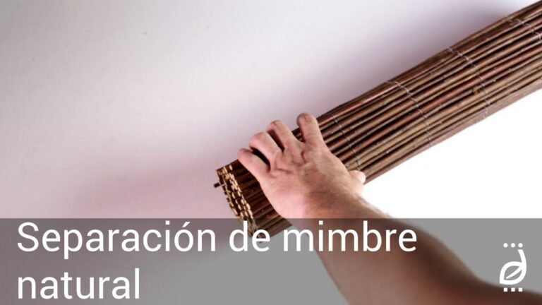 Crea un Ambiente Acogedor con Accesorios de Mimbre