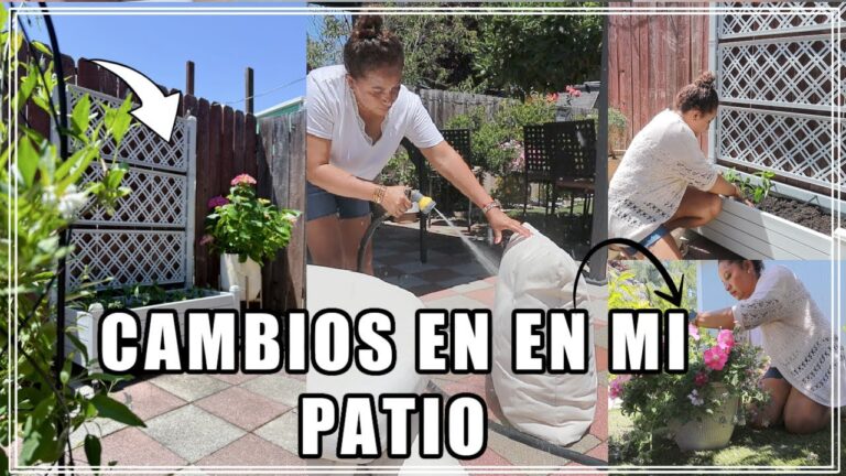 El encanto de las plantas en la decoraci&oacute;n exterior