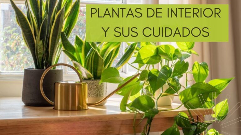 Armonía y Estética en la Decoración de Huertos Urbanos